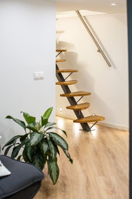 Venus - Park Ii Apartment